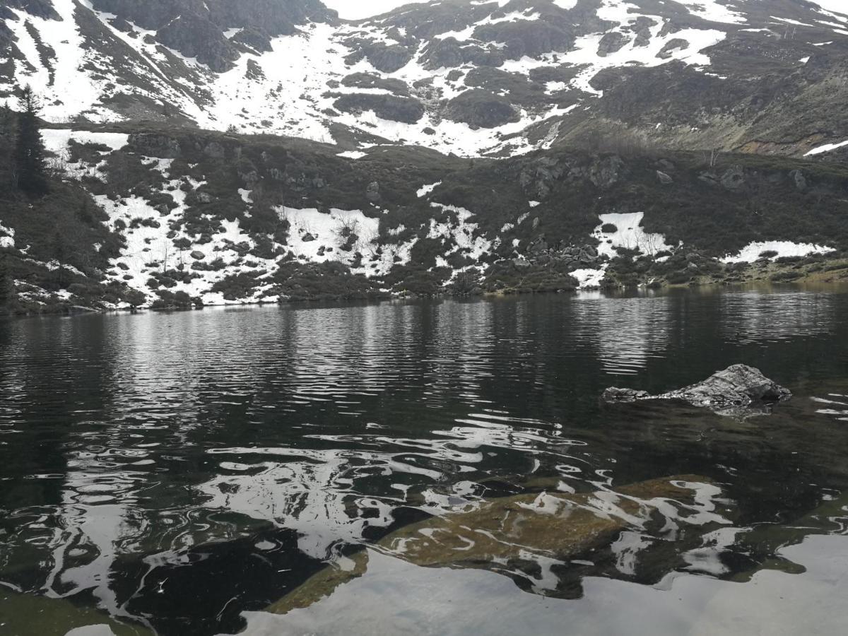 Terres De Barrejat Villa Cazals-des-Bayles Eksteriør billede