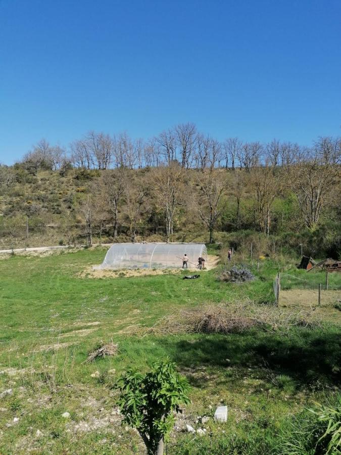 Terres De Barrejat Villa Cazals-des-Bayles Eksteriør billede
