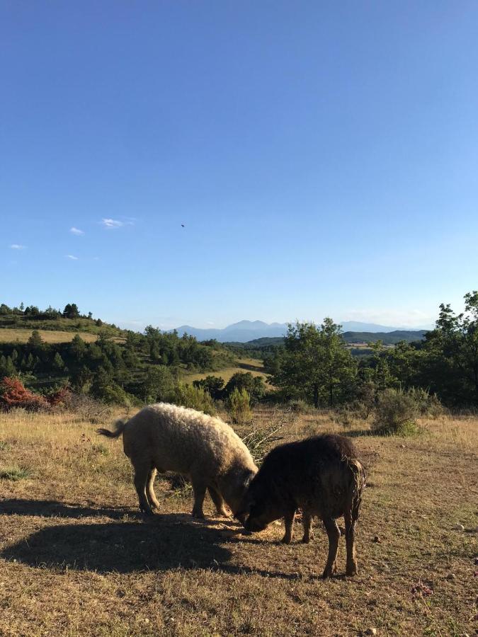 Terres De Barrejat Villa Cazals-des-Bayles Eksteriør billede