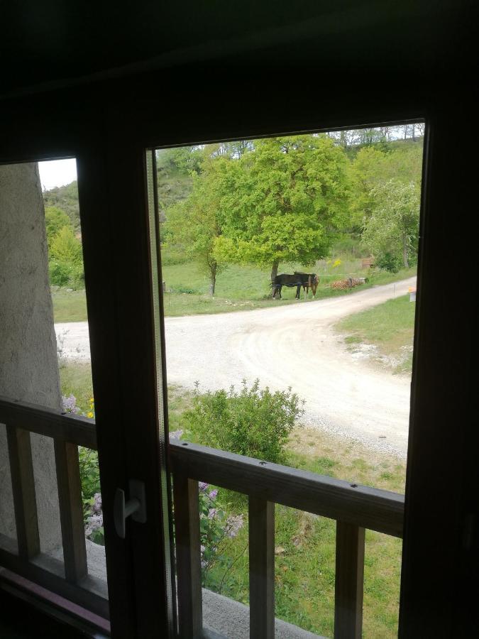 Terres De Barrejat Villa Cazals-des-Bayles Eksteriør billede